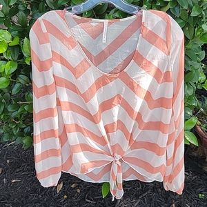 Semi-shear long sleeve Blouse